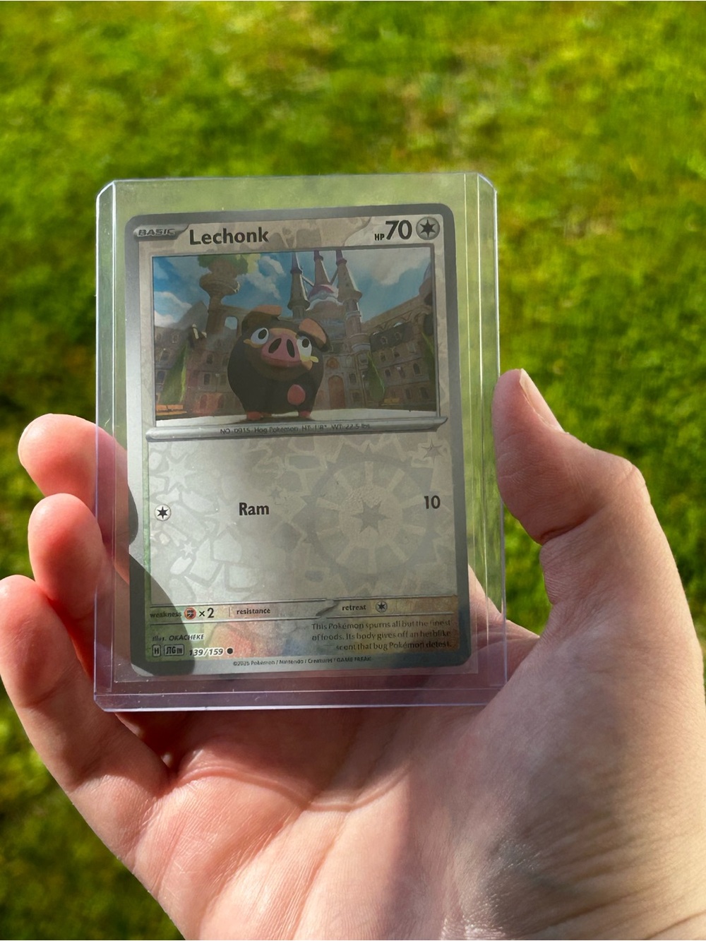 Lechonk Pokémon Holographic Card - Silver/Gray